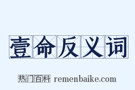 壹命反义词是什么意思的图片